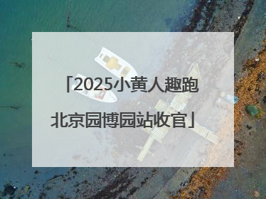 2025小黄人趣跑北京园博园站收官