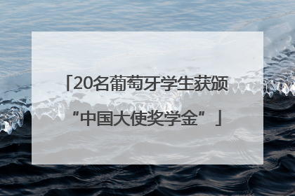 20名葡萄牙学生获颁“中国大使奖学金”