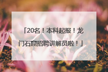 20名！本科起报！龙门石窟招聘讲解员啦！