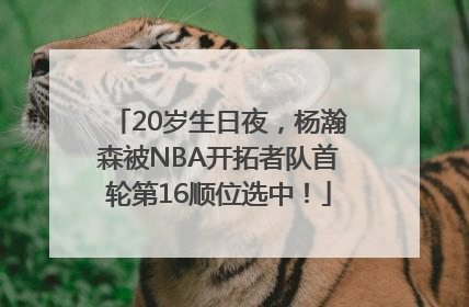 20岁生日夜，杨瀚森被NBA开拓者队首轮第16顺位选中！