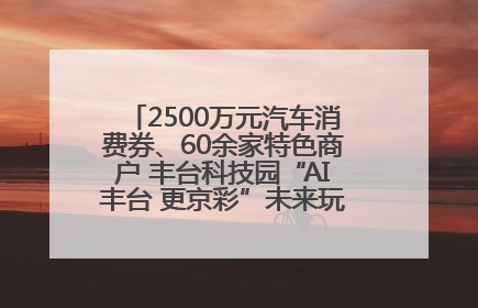 2500万元汽车消费券、60余家特色商户 丰台科技园“AI丰台 更京彩”未来玩家市集活动正式开幕