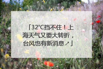 32℃挡不住！上海天气又要大转折，台风也有新消息↗