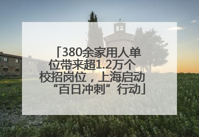 380余家用人单位带来超1.2万个校招岗位，上海启动“百日冲刺”行动