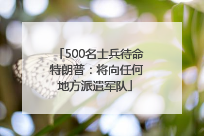 500名士兵待命 特朗普：将向任何地方派遣军队