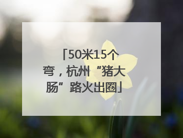 50米15个弯，杭州“猪大肠”路火出圈