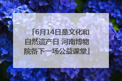 6月14日是文化和自然遗产日 河南博物院备下一场公益课堂