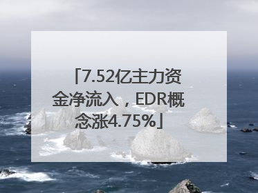 7.52亿主力资金净流入，EDR概念涨4.75%