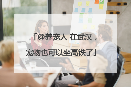 @养宠人 在武汉，宠物也可以坐高铁了