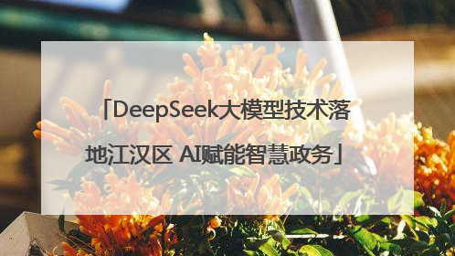 DeepSeek大模型技术落地江汉区 AI赋能智慧政务