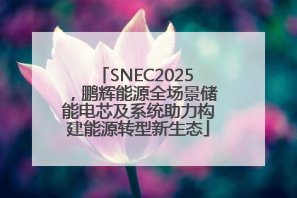 SNEC2025，鹏辉能源全场景储能电芯及系统助力构建能源转型新生态