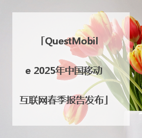 QuestMobile 2025年中国移动互联网春季报告发布
